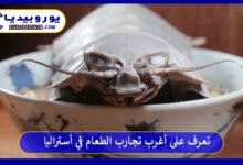 أغرب-تجارب-الطعام-في-أستراليا