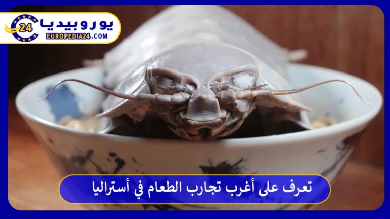 ما هي أغرب تجارب الطعام في أستراليا؟ 12 أغرب تجارب الطعام في أستراليا