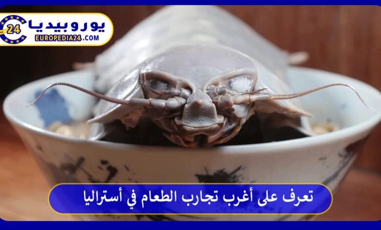 ما هي أغرب تجارب الطعام في أستراليا؟ 95 أغرب-تجارب-الطعام-في-أستراليا