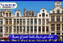 ما هي أهم 10 شروط إقامة العمل في بلجيكا؟ 204 إقامة-العمل-في-بلجيكا