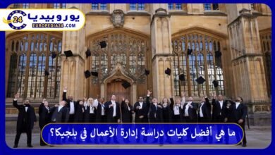 دراسة-إدارة-الأعمال-في-بلجيكا
