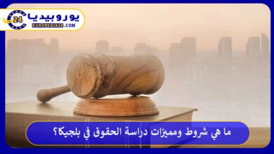 دراسة-الحقوق-في-بلجيكا