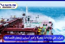 تعرف على واردات بلجيكا وأهم أسباب ازدهار اقتصادها 219 واردات-بلجيكا