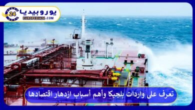 واردات-بلجيكا