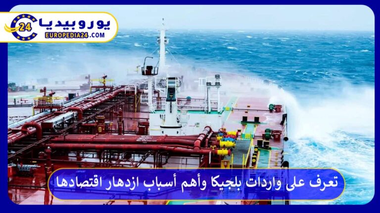 واردات بلجيكا