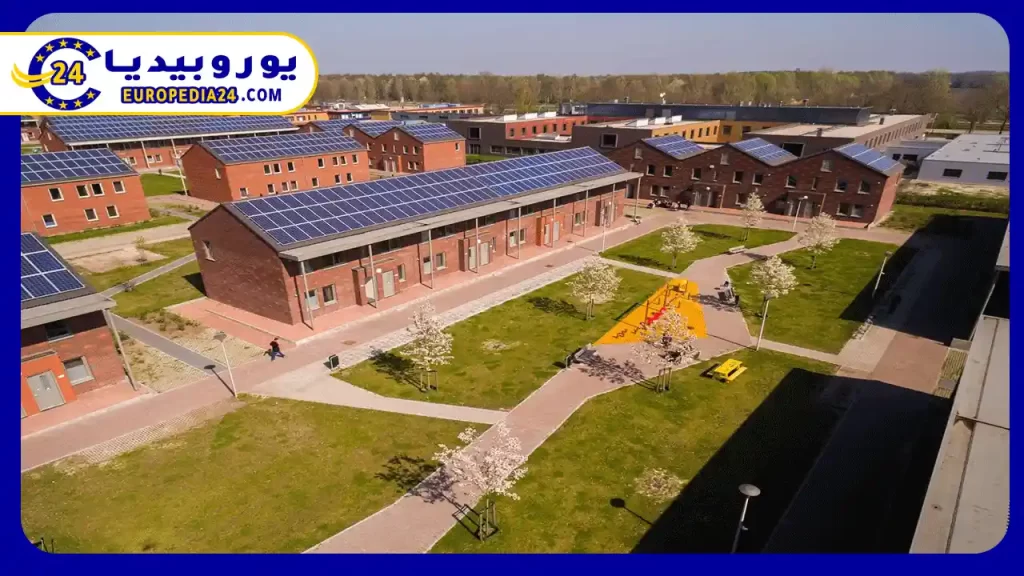 Asylum in the Netherlands: Requirements and Benefits 3 Asylum-paths-in-the-Netherlands