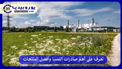 أهم-صادرات-النمسا