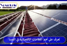 القطاعات-الاقتصادية-في-النمسا