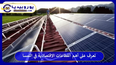 القطاعات-الاقتصادية-في-النمسا