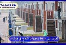 تعرف على أهم 10 شروط ومميزات اللجوء في هولندا 8 اللجوء-في-هولندا