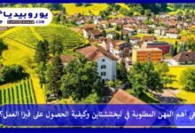ما هي أهم المهن المطلوبة في ليختنشتاين وكيفية الحصول على فيزا العمل؟ 9 المهن-المطلوبة-في-ليختنشتاين