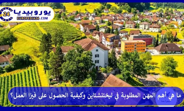 What are the most in-demand professions in Liechtenstein, and how can you obtain a work visa? 7 In-Demand Jobs in Liechtenstein