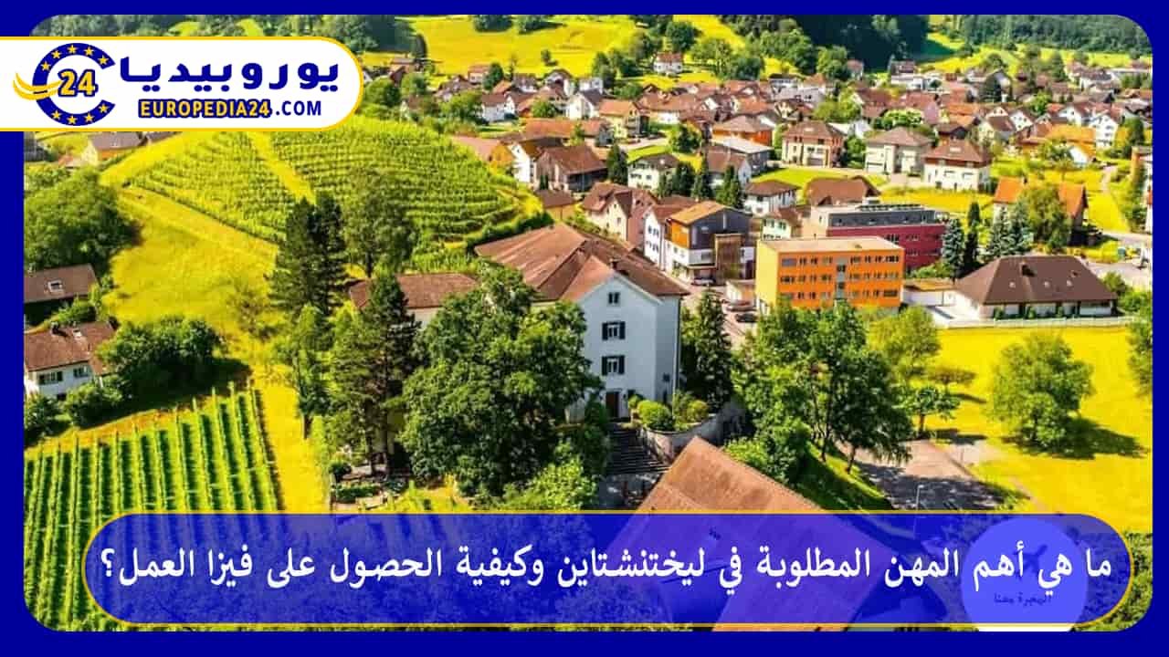 What are the most in-demand professions in Liechtenstein, and how can you obtain a work visa? 39 In-Demand Jobs in Liechtenstein