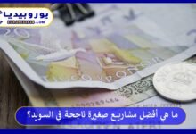 ما هي أفضل مشاريع صغيرة ناجحة في السويد؟ 190 أفضل-مشاريع-صغيرة-ناجحة-في-السويد