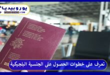 الجنسية-البلجيكية