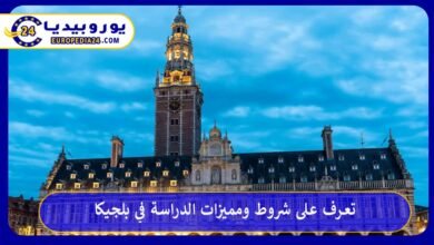 الدراسة-في-بلجيكا