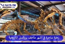 متاحف-بروكسل