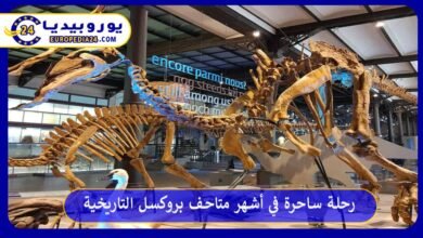 متاحف-بروكسل