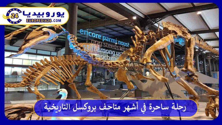متاحف بروكسل