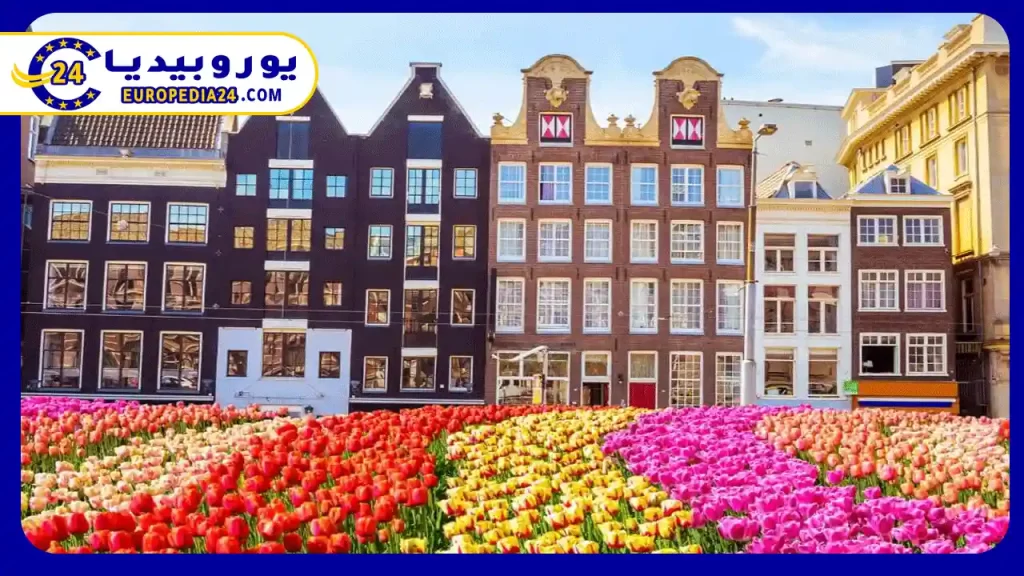 Working in the Netherlands and In-Demand Jobs 4 Main-employment-sectors-in-the-Netherlands
