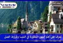 أهم-المهن-المطلوبة-في-النمسا