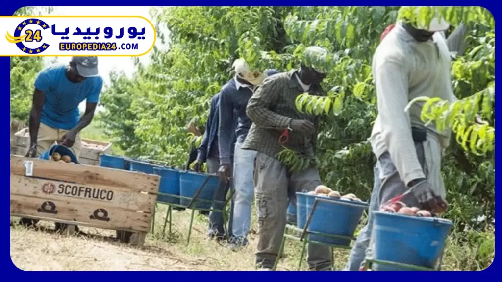 ما هي شروط العمل في إسبانيا والوظائف المناسبة لجميع الفئات 3 أهم-مجالات-العمل-في-إسبانيا