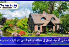 العمل-في-هولندا