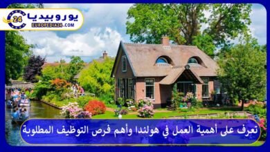 العمل-في-هولندا