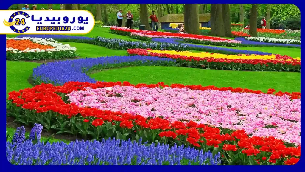 تاريخ-حديقة-كيوكينهوف-في-هولندا