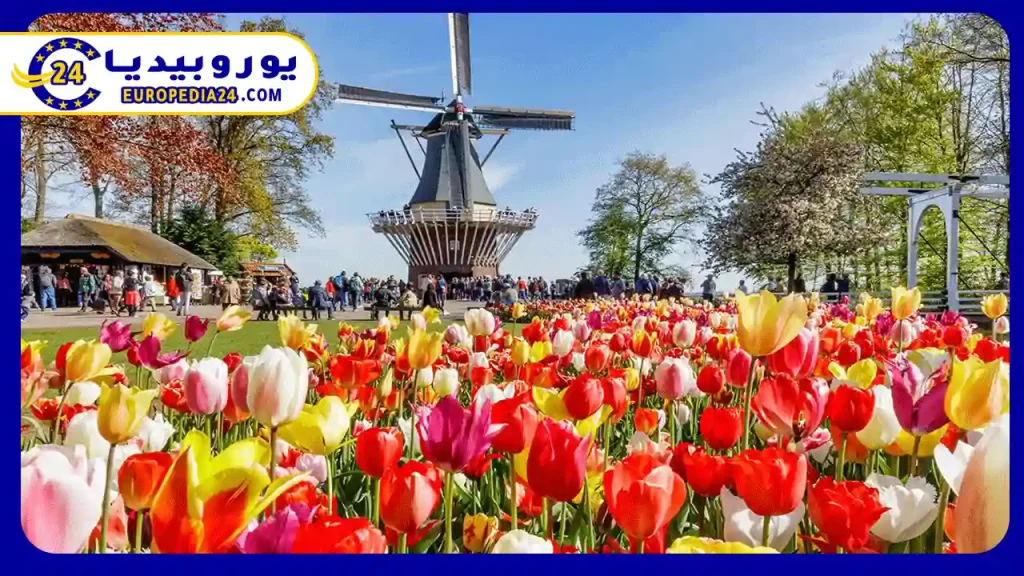 ما-هي-حدائق-كيوكينهوف-في-هولندا؟