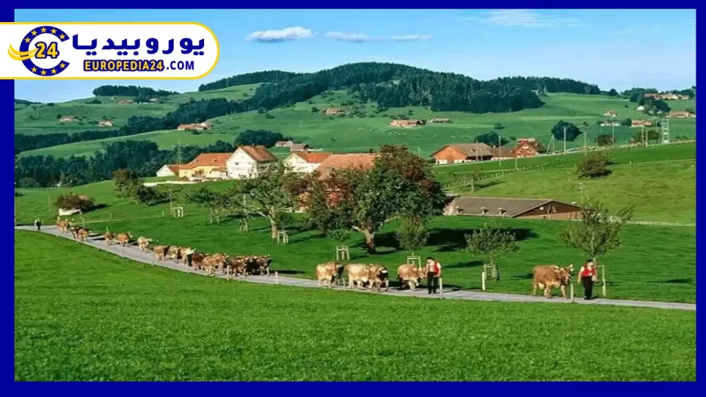 The Swiss Countryside: Natural Beauty and Quiet Living 3 The most beautiful-villages-rural-switzerland