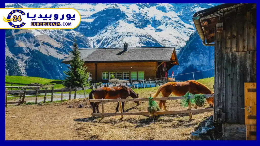 The Swiss Countryside: Natural Beauty and Quiet Living 2 The most important activities you can do in the Swiss countryside