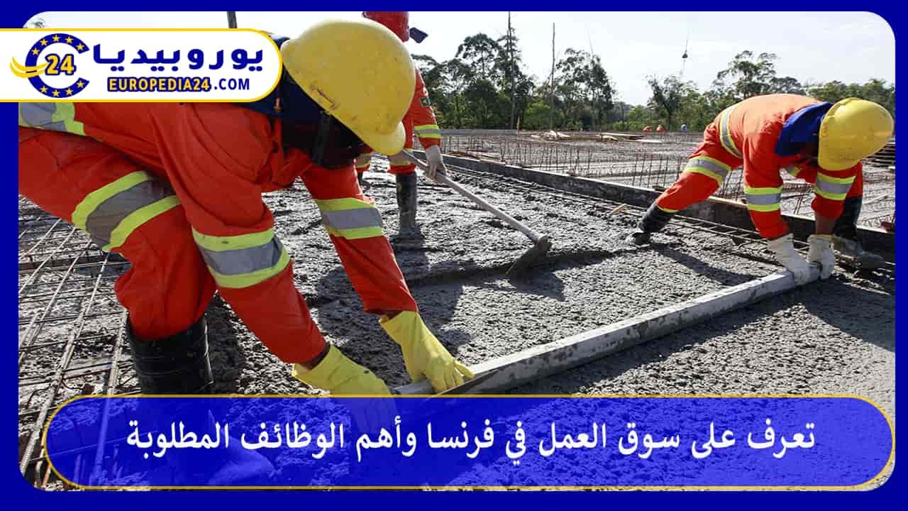 Explore the Job Market in France and the Most In-Demand Jobs 36 Working in France