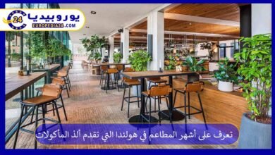 أشهر-المطاعم-في-هولندا