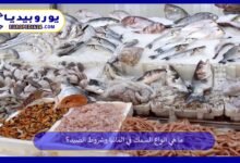 انواع-السمك-في-المانيا