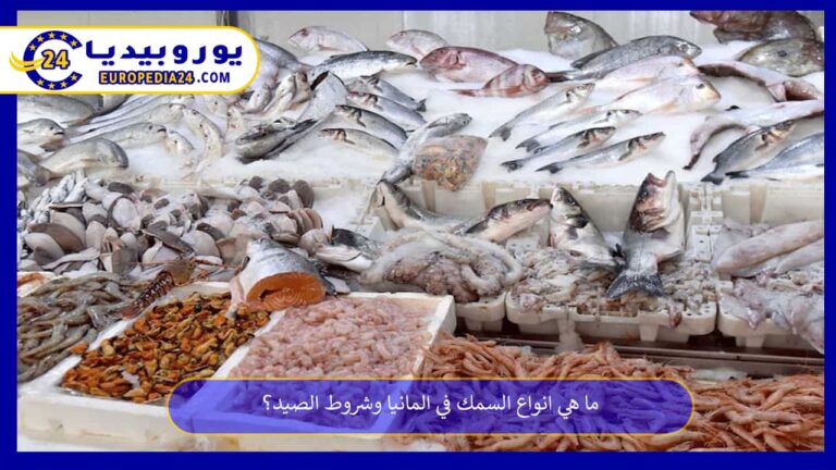 انواع السمك في المانيا