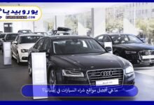 مواقع-شراء-السيارات-في-إسبانيا
