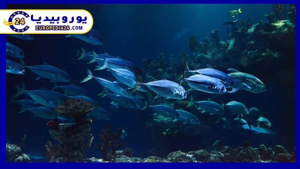 Best Things to Do in Venice 2 Garden-Tropicarium-Venice