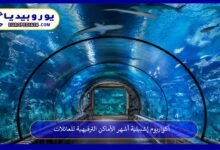 أكواريوم إشبيلية أشهر الأماكن الترفيهية للعائلات 73 أكواريوم-إشبيلية