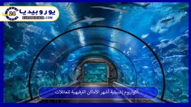 أكواريوم إشبيلية أشهر الأماكن الترفيهية للعائلات 3 أكواريوم-إشبيلية
