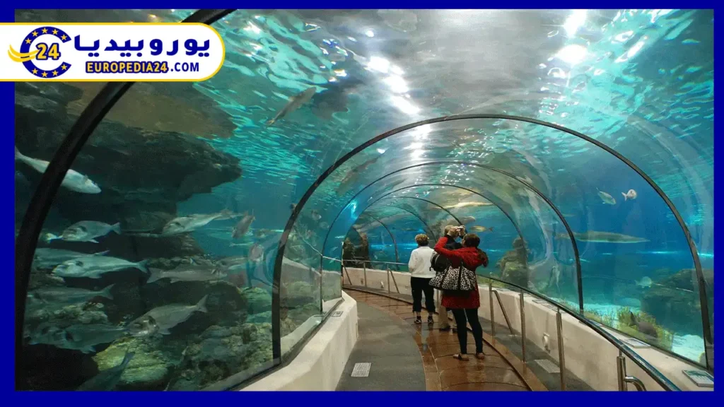 أكواريوم إشبيلية أشهر الأماكن الترفيهية للعائلات 2 أكواريوم-في-إشبيلية