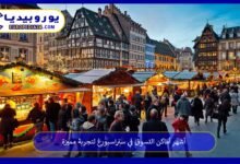 أماكن-التسوق-في-ستراسبورغ