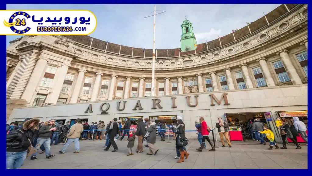 اكواريوم لندن أجمل الأماكن الترفيهية في إنجلترا 2 اكواريوم