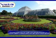 الحدائق النباتية الملكية كيو لندن أفضل الوجهات الترفيهية للعائلات 9 الحدائق-النباتية-الملكية-كيو-لندن