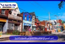 الحي-الصيني-في-تورنتو