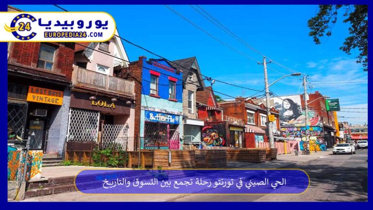 الحي الصيني في تورنتو رحلة تجمع بين التسوق والتاريخ 9 الحي الصيني في تورنتو