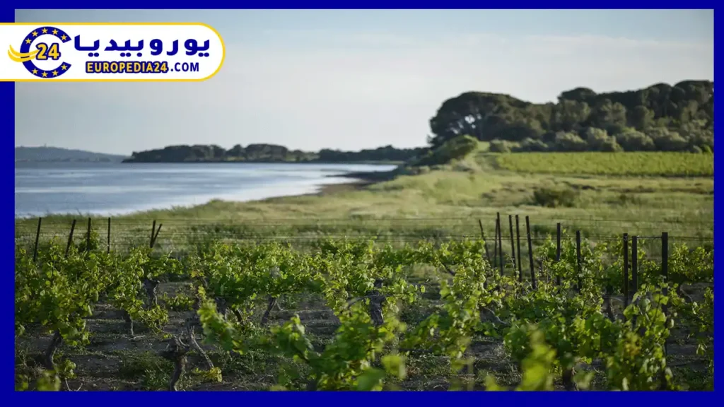 بحيرة ويكيبارك بلانك الجمال الساحر في غراتس 2 بحيرة-ويكيبارك-بلانك-في-غراتس