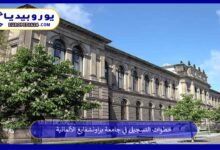 جامعة-براونشفايغ