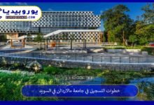 جامعة-مالاردالن