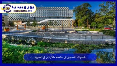 جامعة-مالاردالن